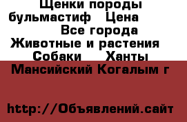 Щенки породы бульмастиф › Цена ­ 25 000 - Все города Животные и растения » Собаки   . Ханты-Мансийский,Когалым г.